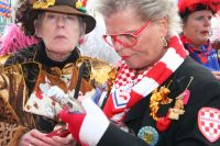 2015-02-14 Optocht kijken 017 2015-02-14 Optocht kijken 017